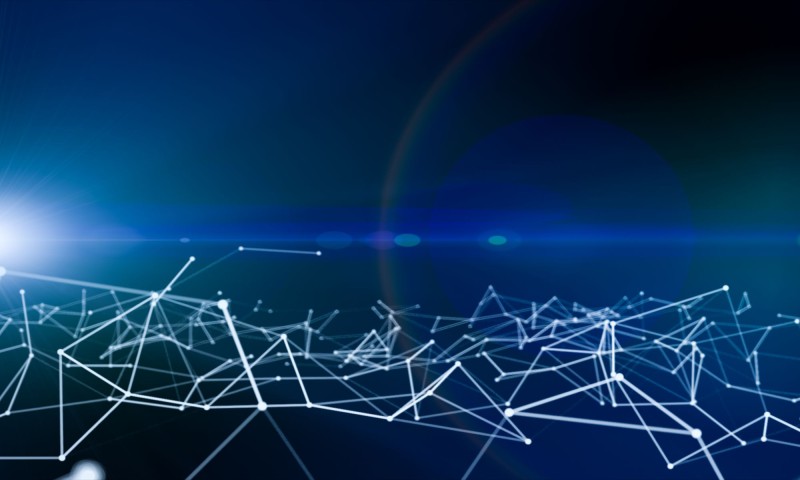 Target Safety Assessment