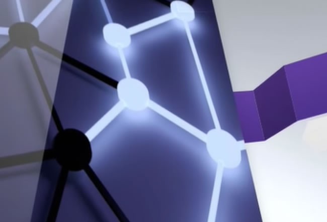 LLMs and toxicology: Arianna Bassan and Glenn Myatt explore human-in-the-loop and framework-based approaches to risk assessment