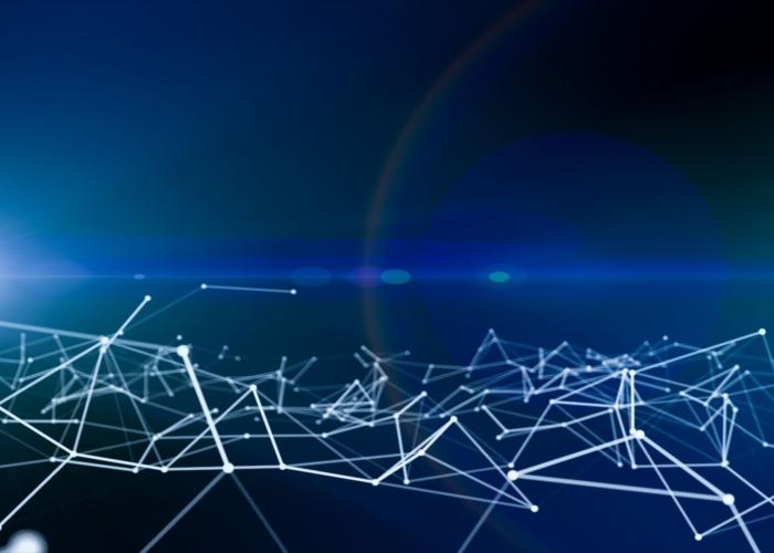 Target Safety Assessment